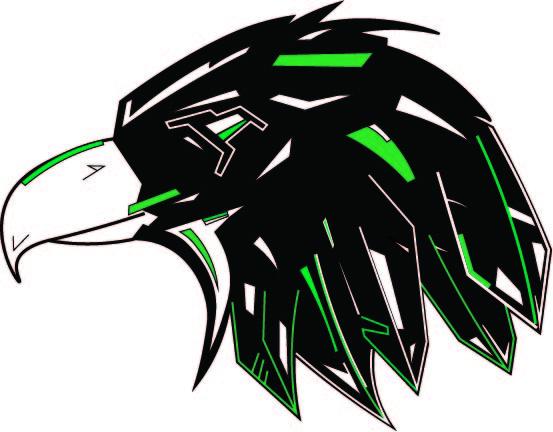 fighting hawks concept logo 4.jpg