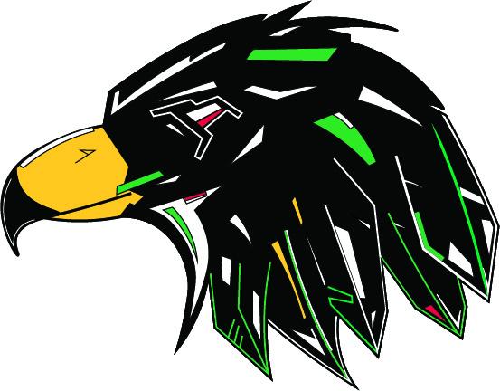 fighting hawks logo concept 10.jpg