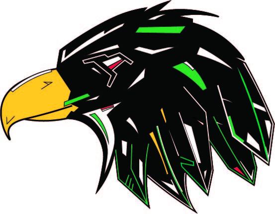 fighting hawks logo concept 2.jpg