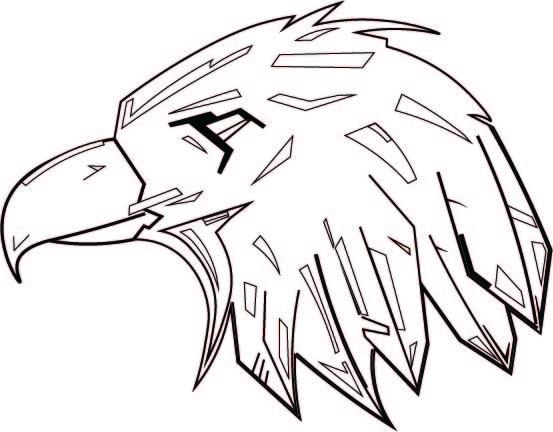 fighting hawks logo concept 5.jpg