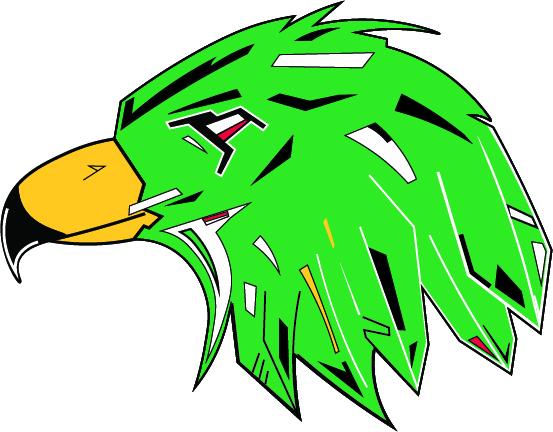 fighting hawks logo concept green.jpg