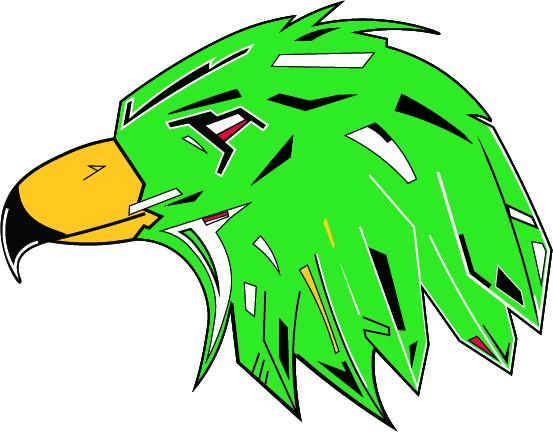 fighting hawks logo concept green.jpg
