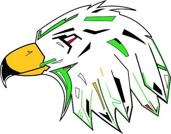 fighting hawks logo concept white.jpg