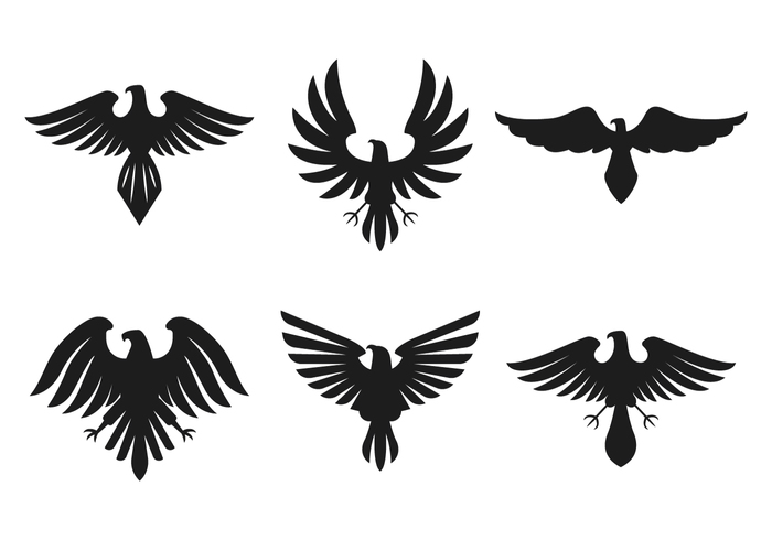 ancient-hawk-logo-vector.jpg.c3e9d0c39e7