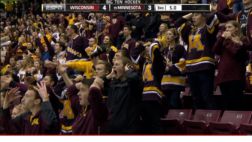 gopher fans.png