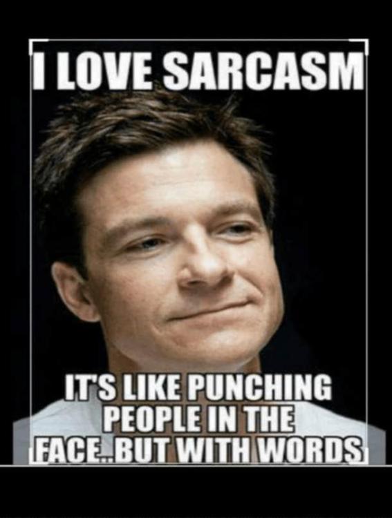 sarcastic-memes-i-love-sarcasm-like-puncing-people.png